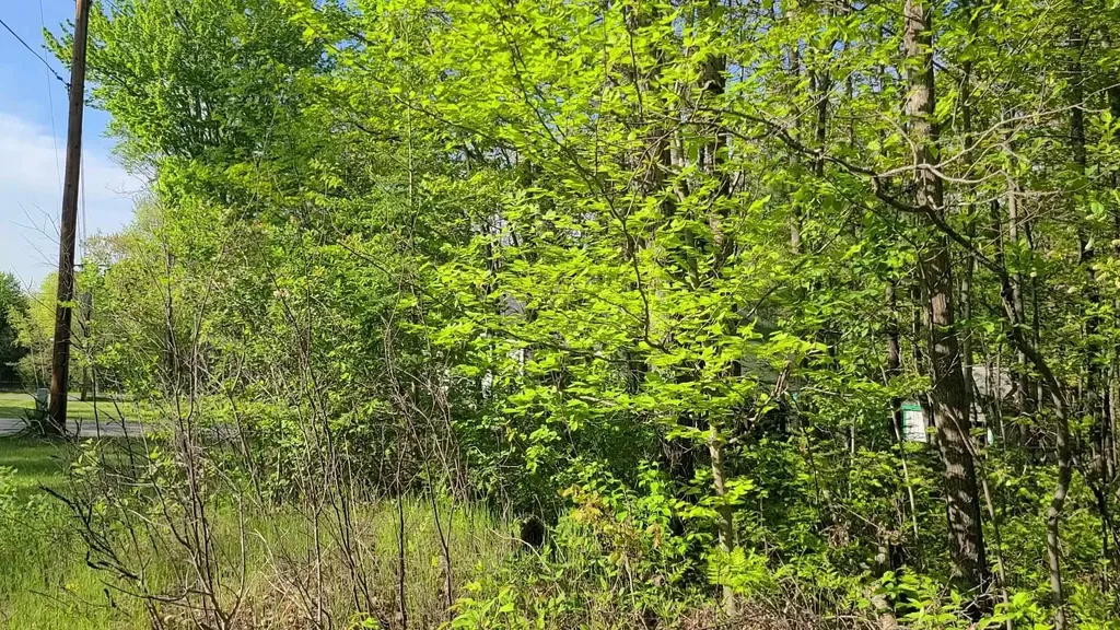 000 Montana Street Millen Township MI 48705