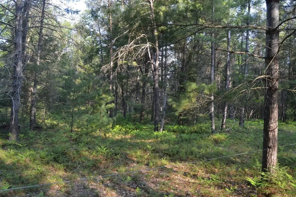 7601 N Cabin Lane Higgins Township MI 48653