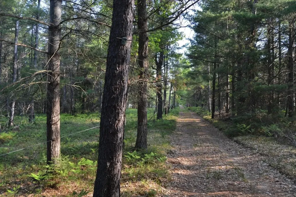7601 N Cabin Lane Higgins Township MI 48653