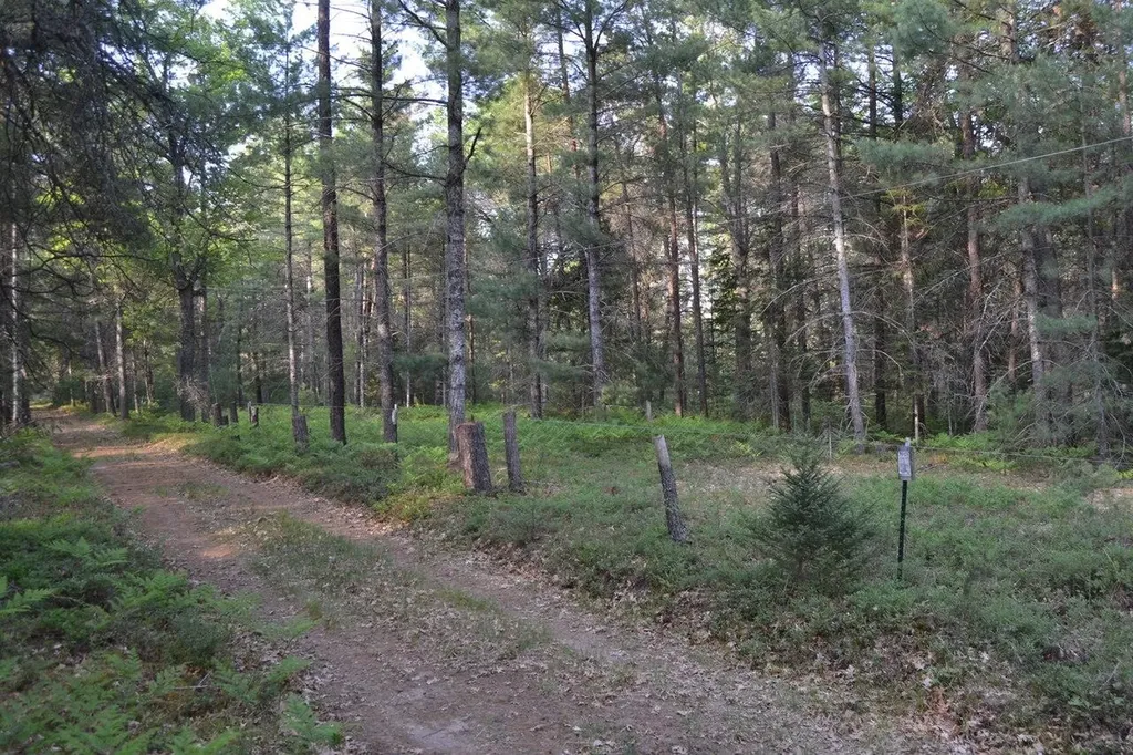 7601 N Cabin Lane Higgins Township MI 48653