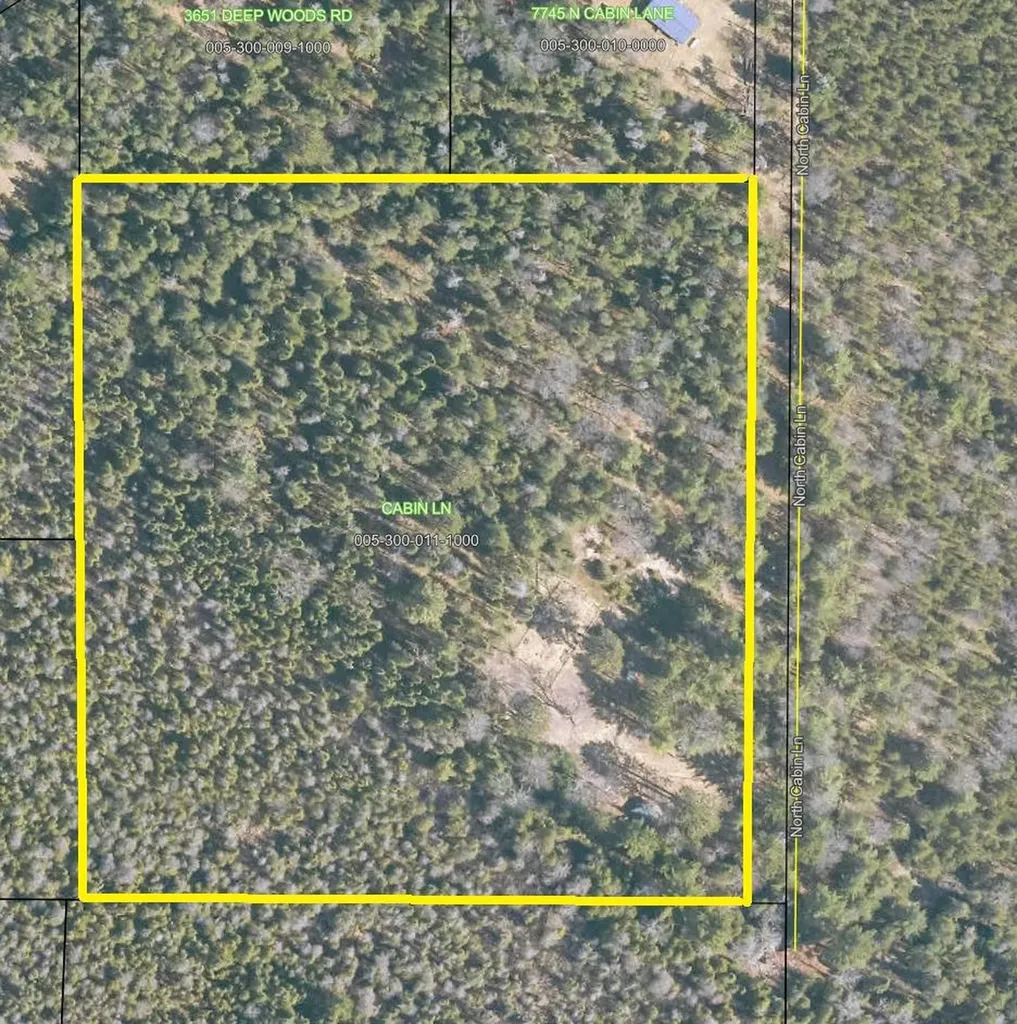 7601 N Cabin Lane Higgins Township MI 48653