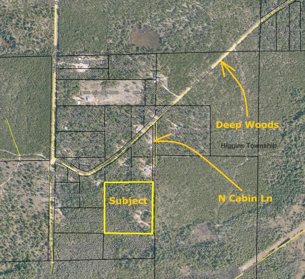 7601 N Cabin Lane Higgins Township MI 48653