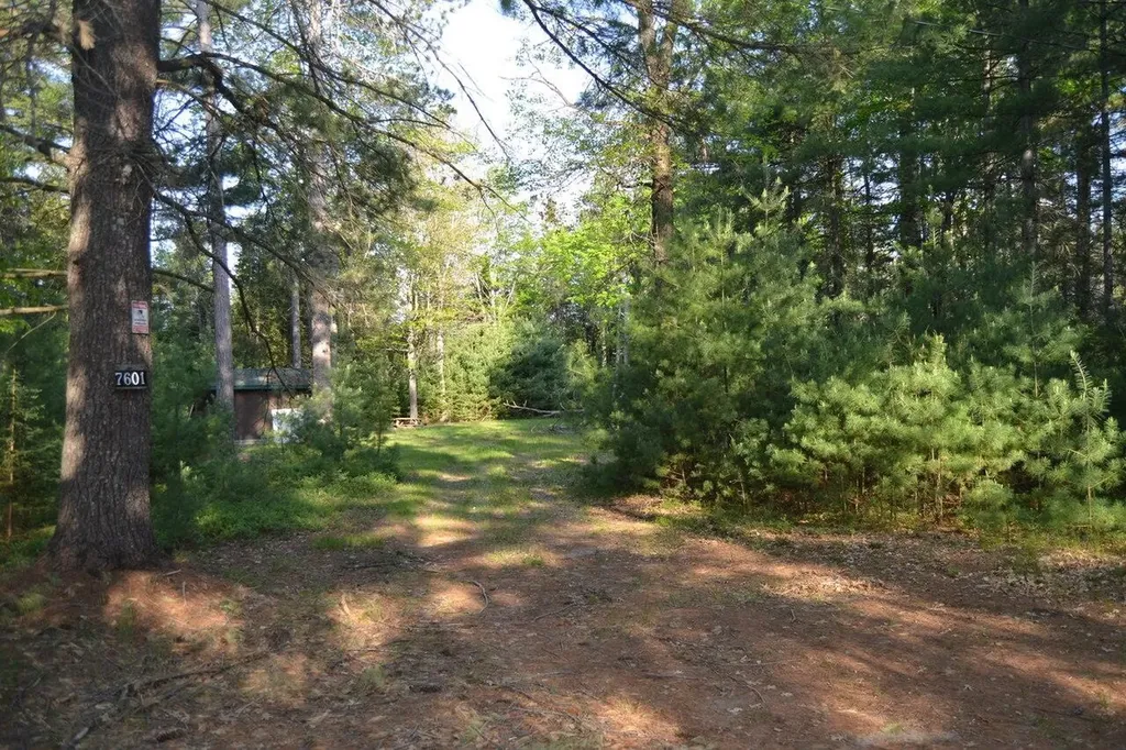 7601 N Cabin Lane Higgins Township MI 48653