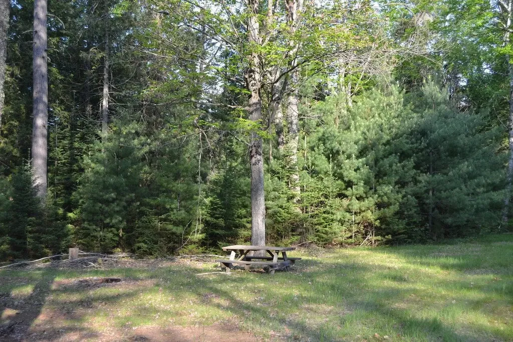7601 N Cabin Lane Higgins Township MI 48653