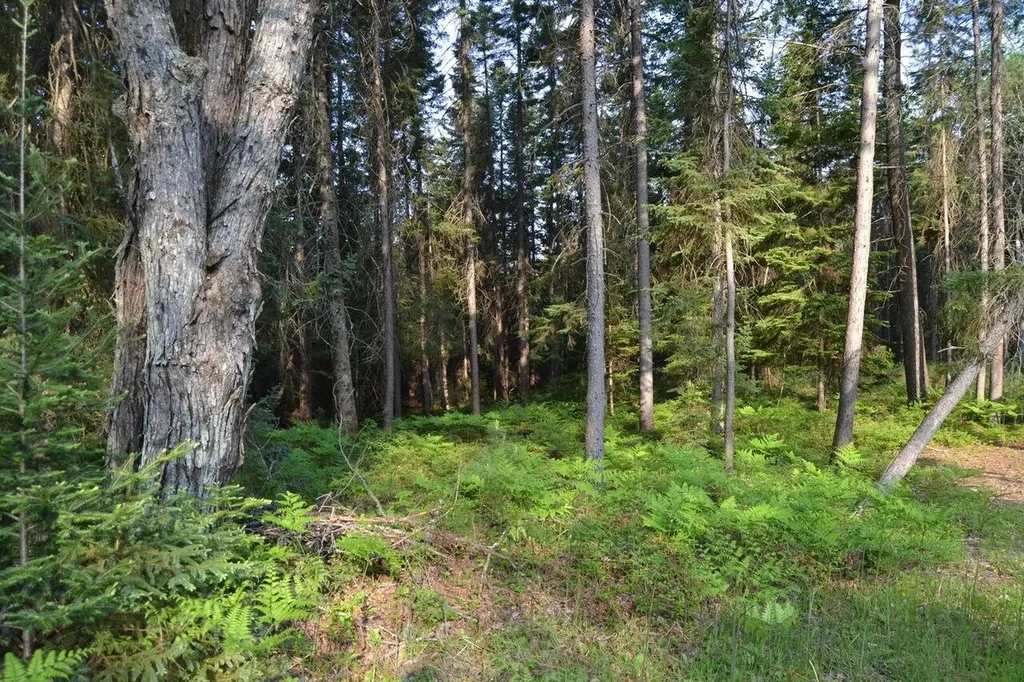 7601 N Cabin Lane Higgins Township MI 48653