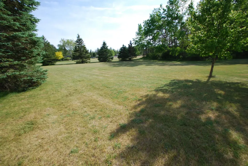 3109 Lupton Road Rose Township MI 48635