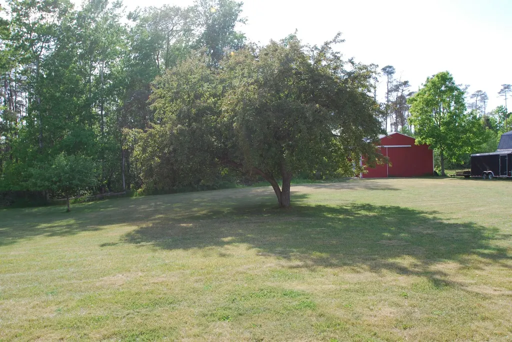 3109 Lupton Road Rose Township MI 48635