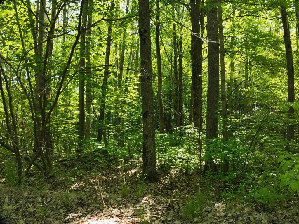 9 Gambling Trail Harrison City MI 48625