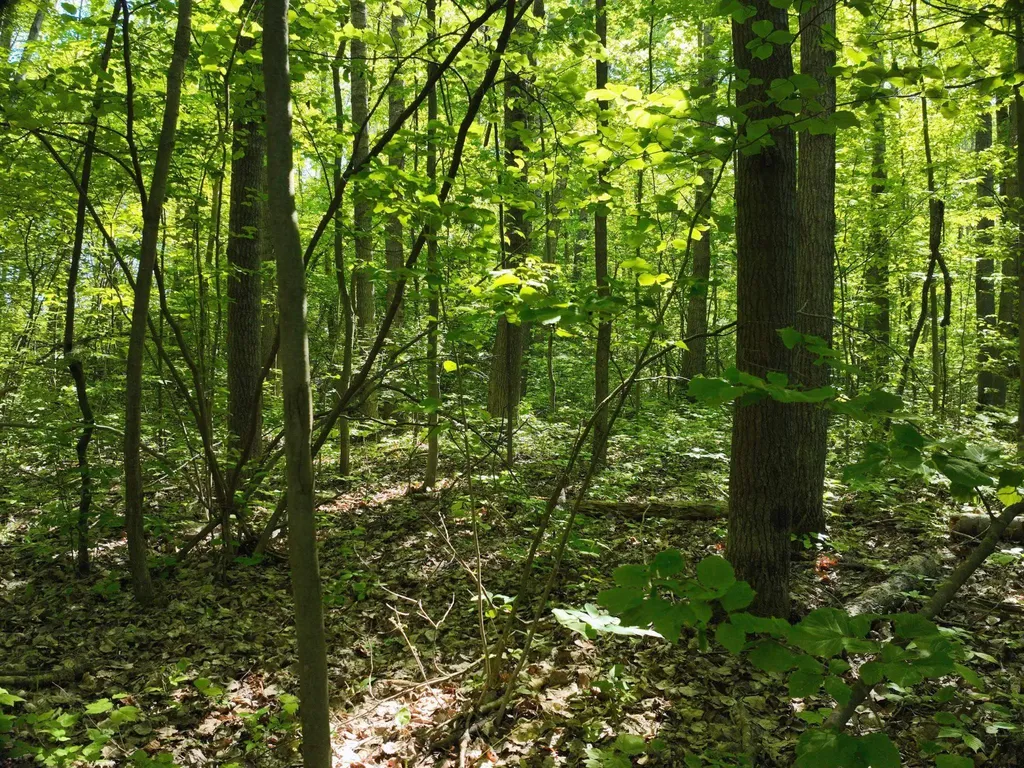 9 Gambling Trail Harrison City MI 48625