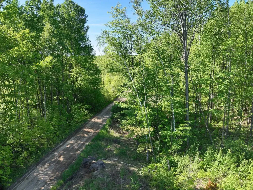 9 Gambling Trail Harrison City MI 48625