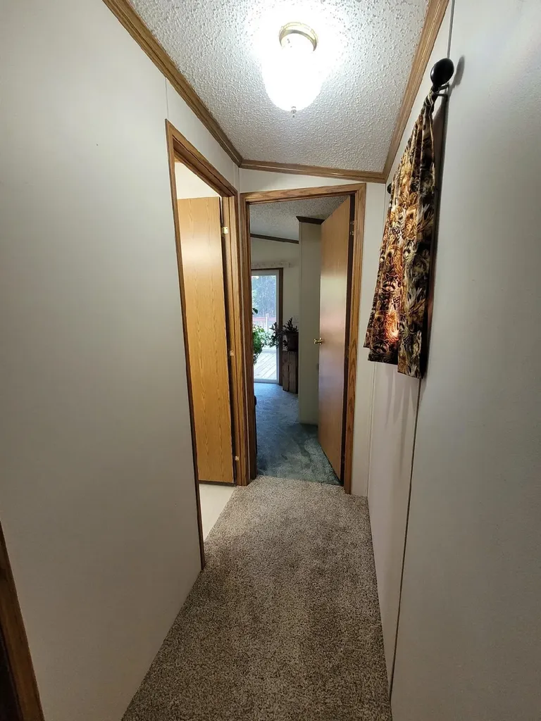 4023 Riversites Drive Deep River Township MI 48749