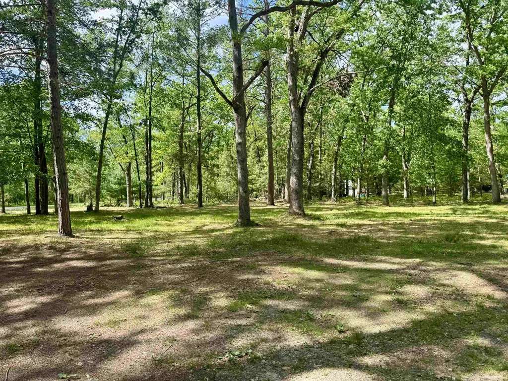 84 N Imperial Drive Grant Township MI 48763