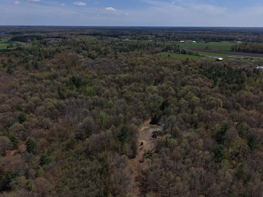 80X Henry Street Moffatt Township MI 48610