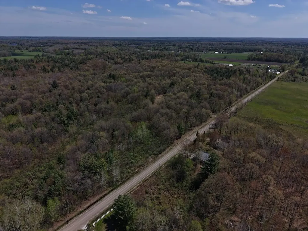 80X Henry Street Moffatt Township MI 48610
