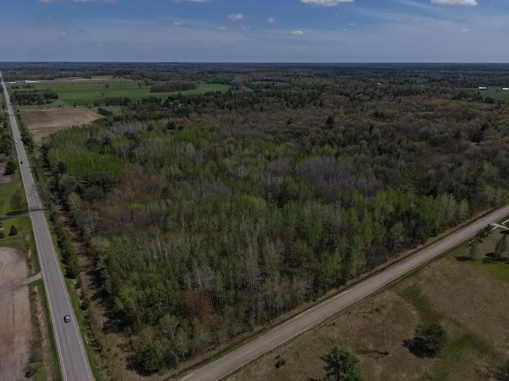 80X Henry Street Moffatt Township MI 48610