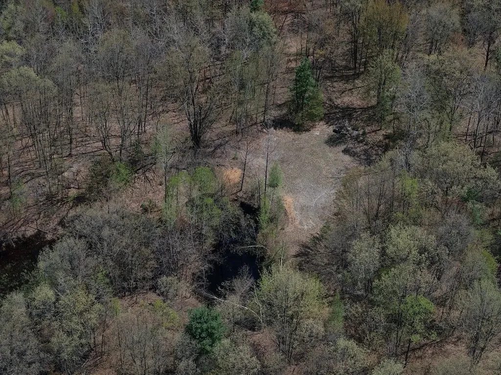 80X Henry Street Moffatt Township MI 48610