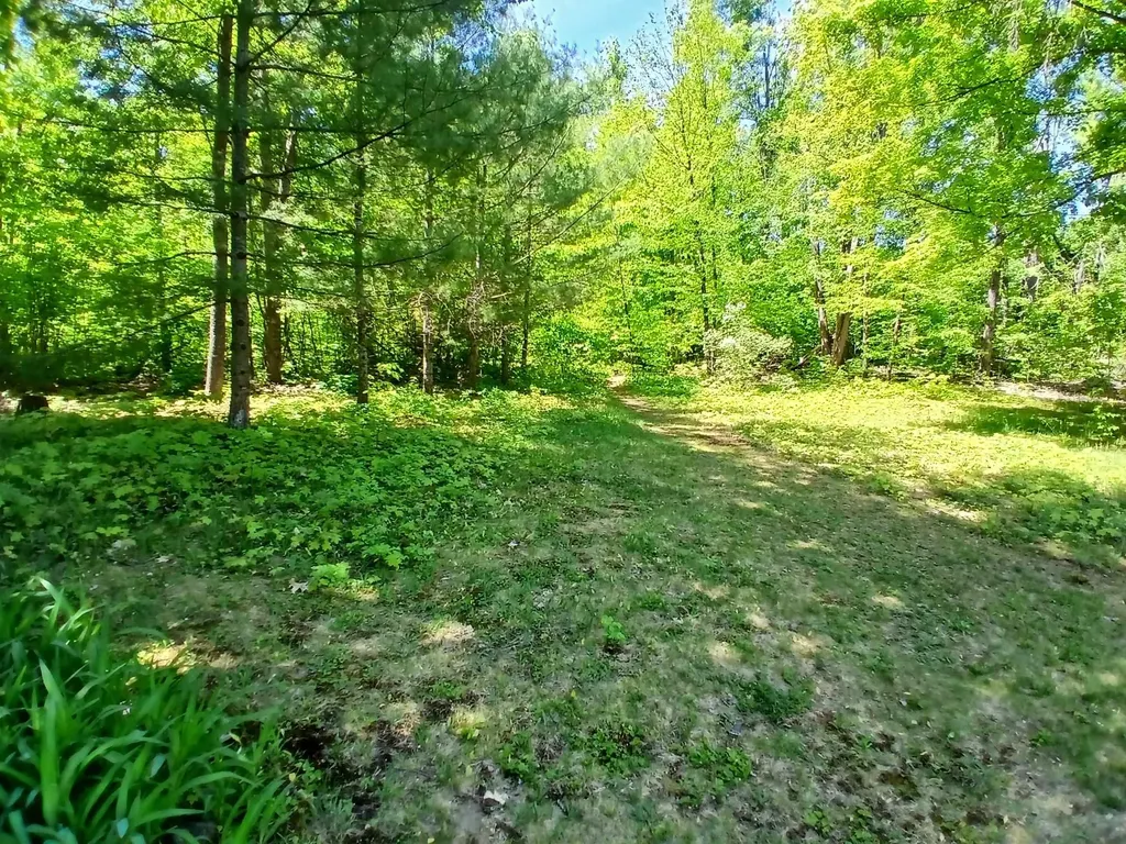 4627 Heart 2 Heart Hayes Township MI 49735