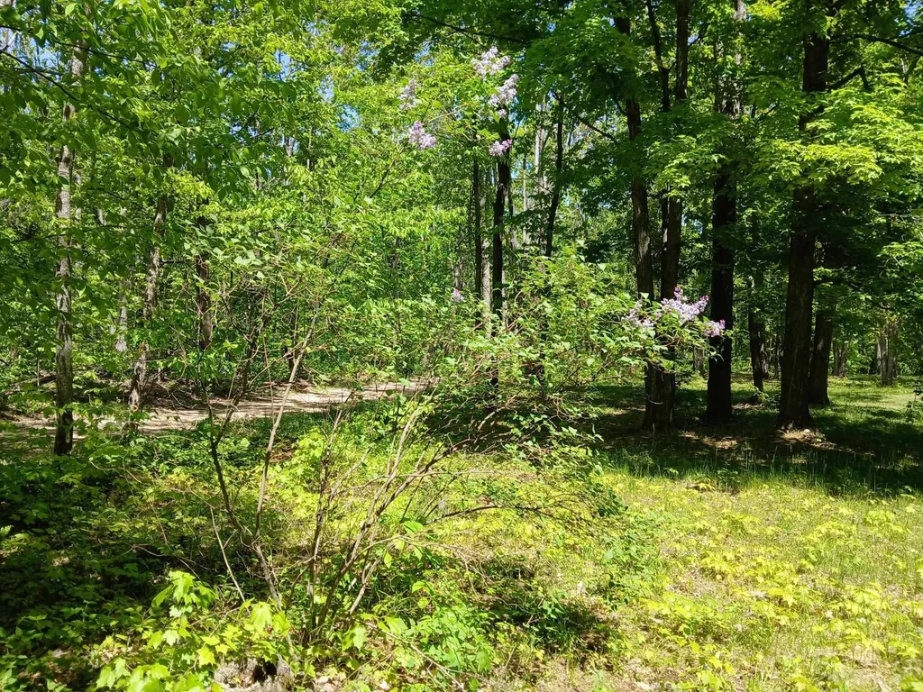 4627 Heart 2 Heart Hayes Township MI 49735