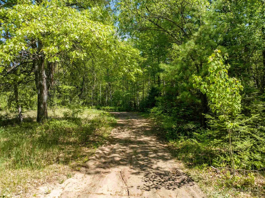 2022 N Clear Lake Road Foster Township MI 48661