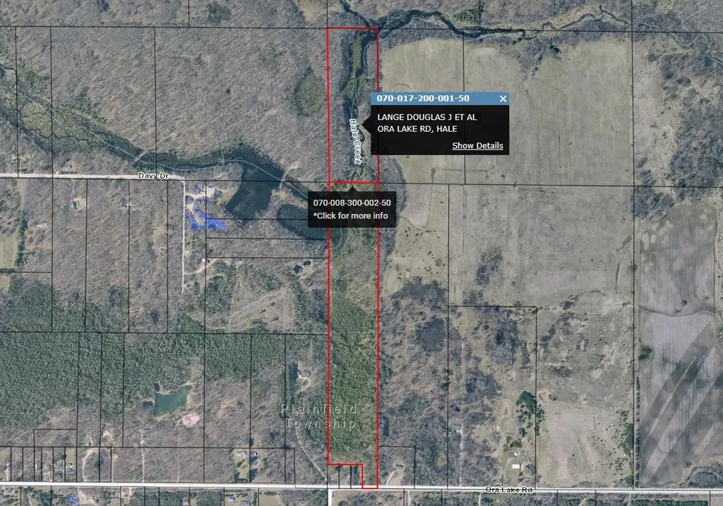 000 Ora Lake Road Plainfield Township MI 48739