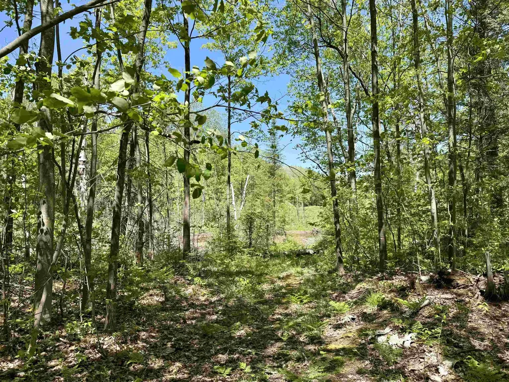 000 Ora Lake Road Plainfield Township MI 48739