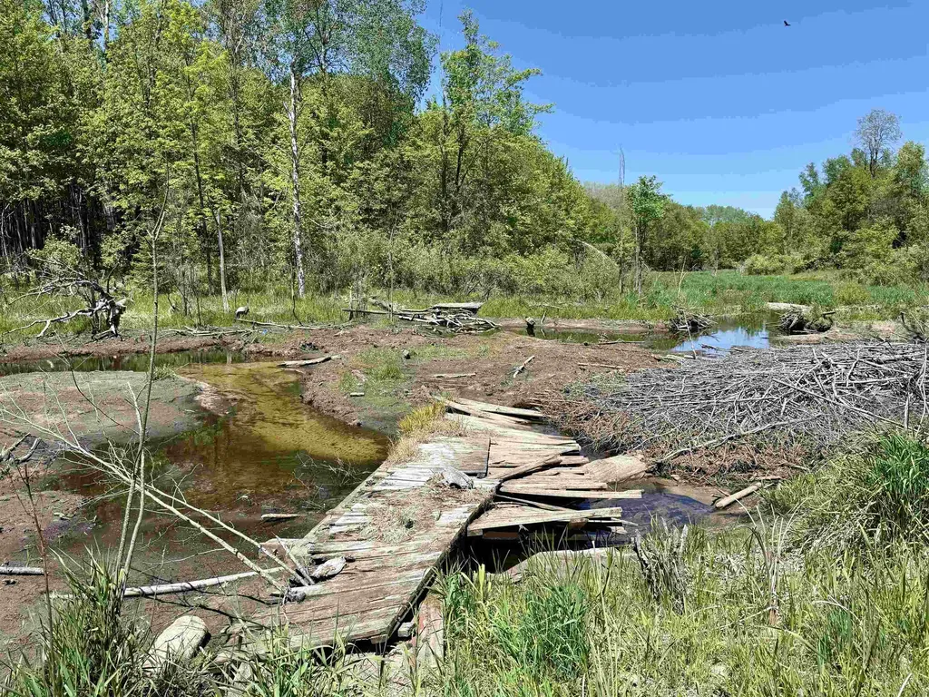 000 Ora Lake Road Plainfield Township MI 48739