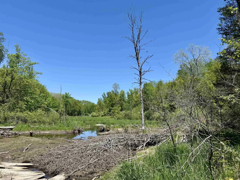 000 Ora Lake Road Plainfield Township MI 48739