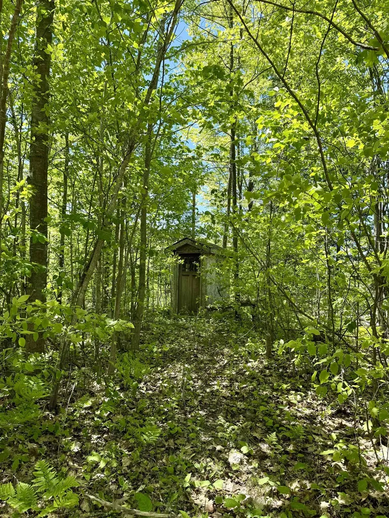 000 Ora Lake Road Plainfield Township MI 48739