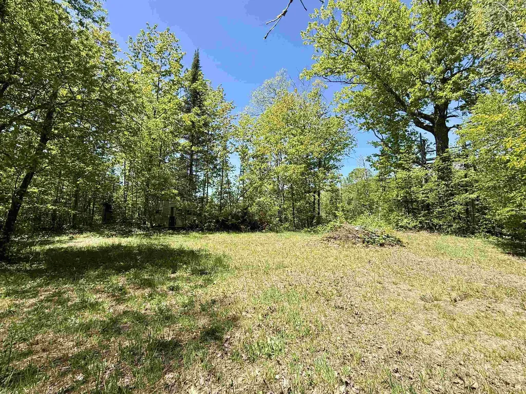 000 Ora Lake Road Plainfield Township MI 48739