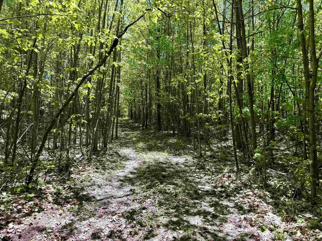 000 Ora Lake Road Plainfield Township MI 48739