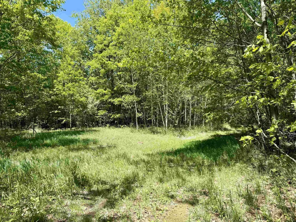 000 Ora Lake Road Plainfield Township MI 48739