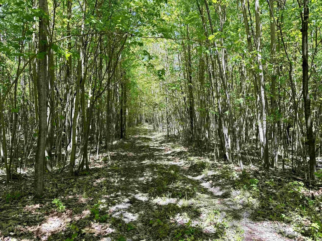 000 Ora Lake Road Plainfield Township MI 48739