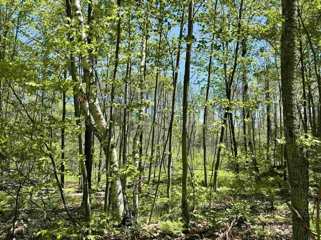 000 Ora Lake Road Plainfield Township MI 48739