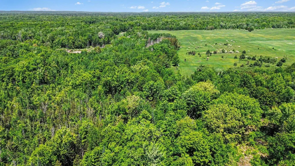 000 Ora Lake Road Plainfield Township MI 48739