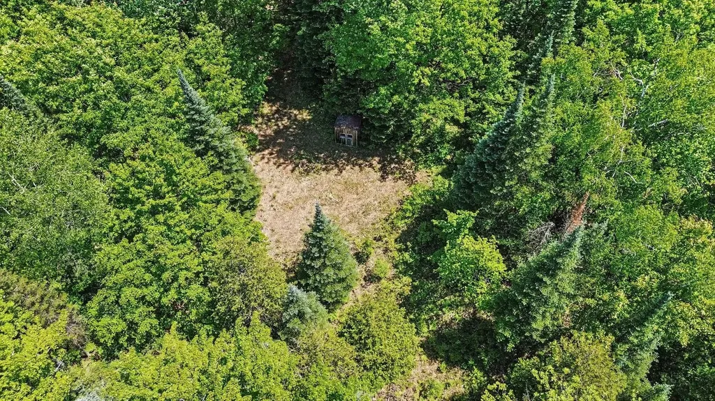 000 Ora Lake Road Plainfield Township MI 48739