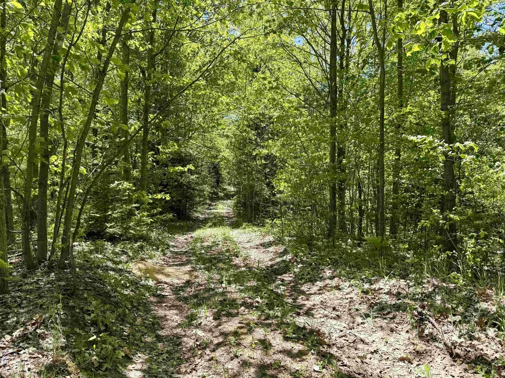 000 Ora Lake Road Plainfield Township MI 48739