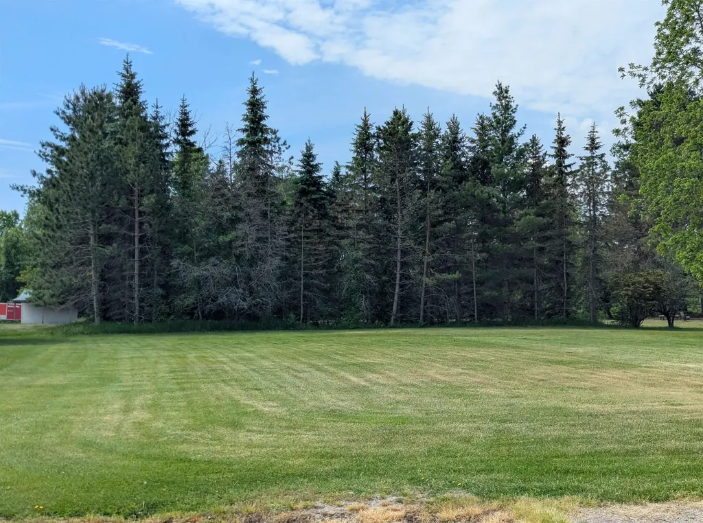 N/a Smith Street Au Gres Township MI 48703