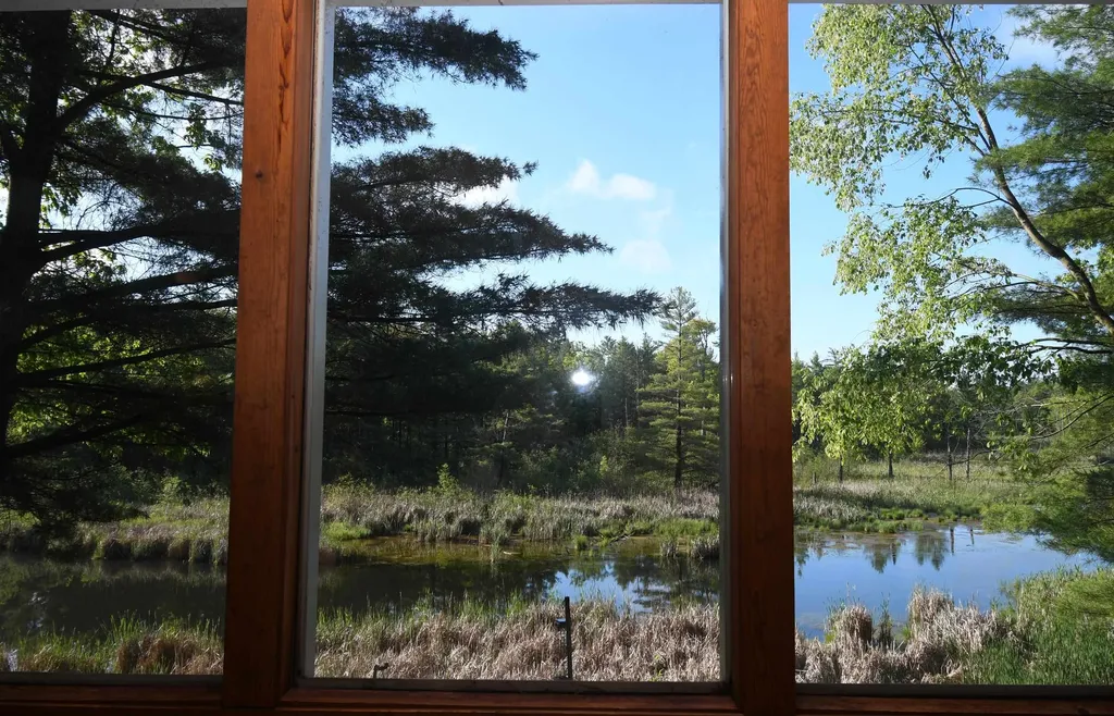 3800 Forest Road Au Sable Charter Township MI 48750