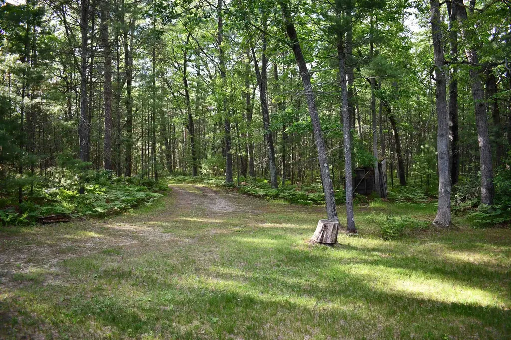 3800 Forest Road Au Sable Charter Township MI 48750