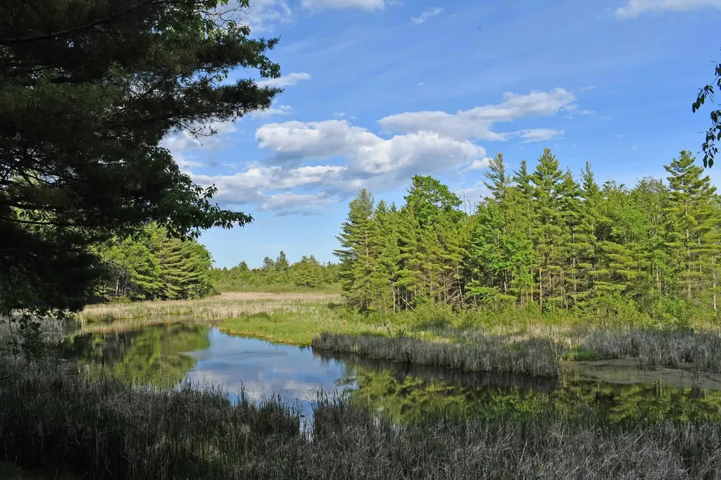 3800 Forest Road Au Sable Charter Township MI 48750