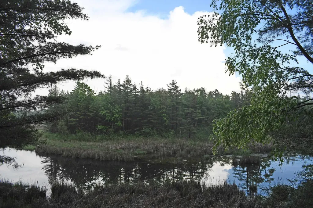 3800 Forest Road Au Sable Charter Township MI 48750