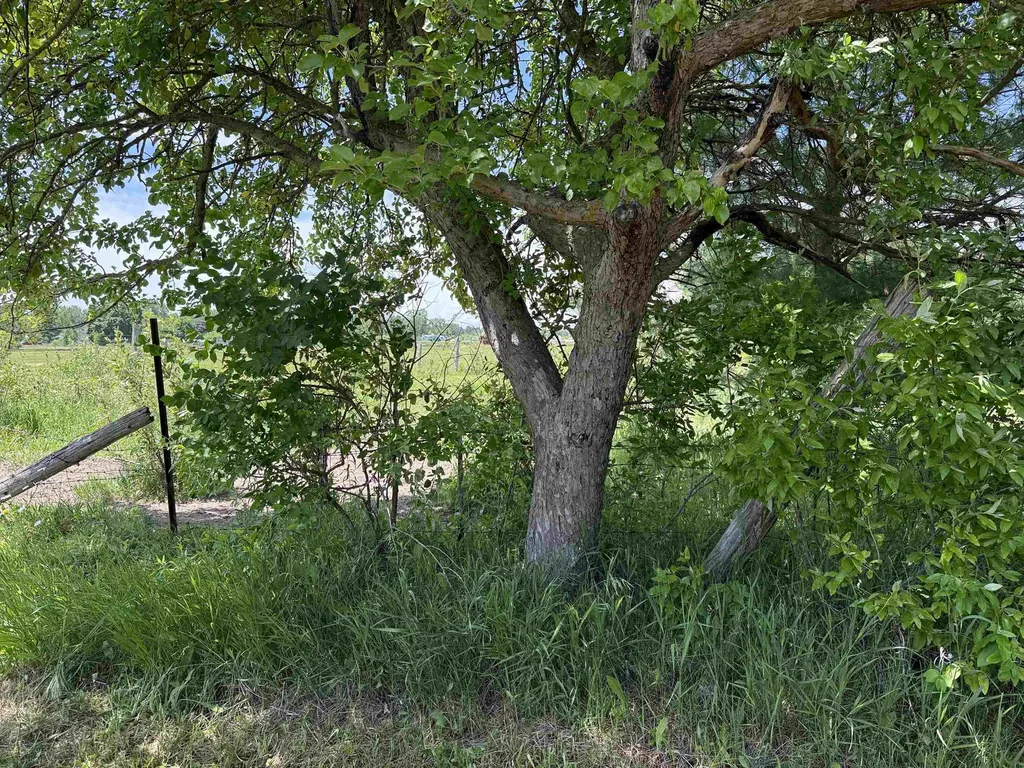 85 Busch Road Tawas Township MI 48763
