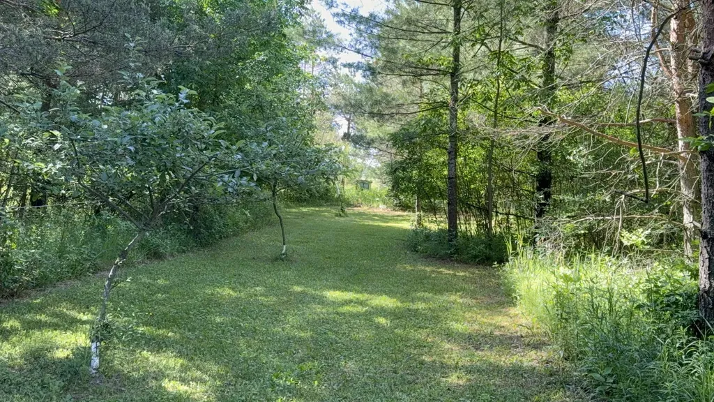 85 Busch Road Tawas Township MI 48763
