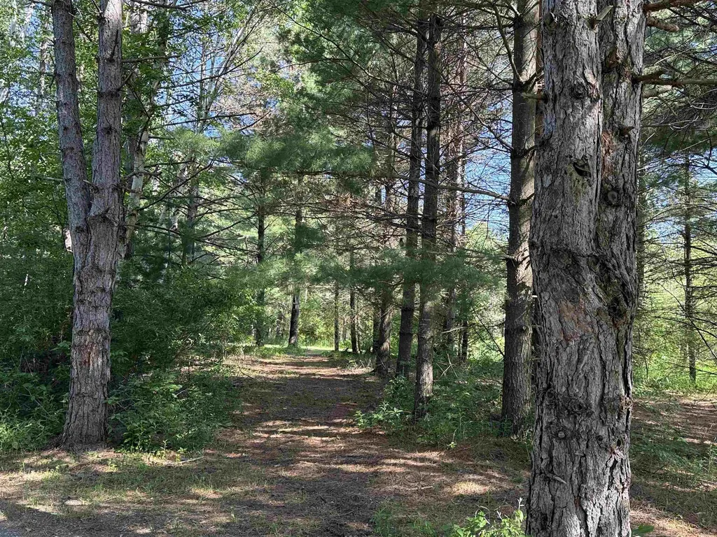 85 Busch Road Tawas Township MI 48763