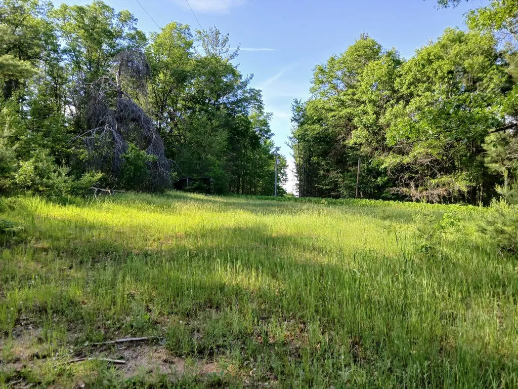 2486 Retelle Lane Klacking Township MI 48661