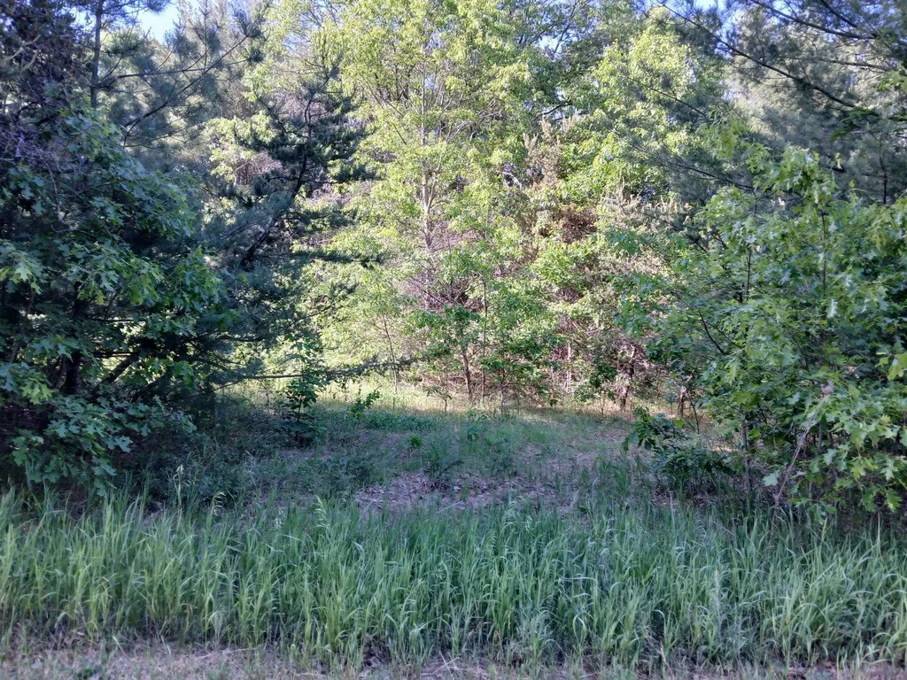2486 Retelle Lane Klacking Township MI 48661