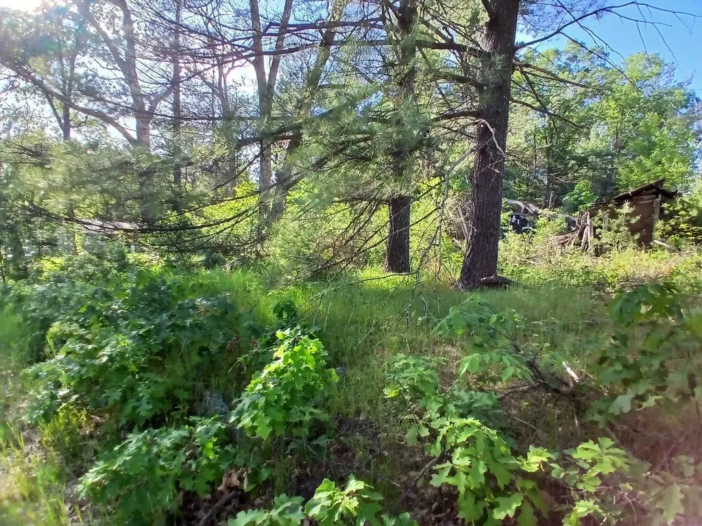 2486 Retelle Lane Klacking Township MI 48661