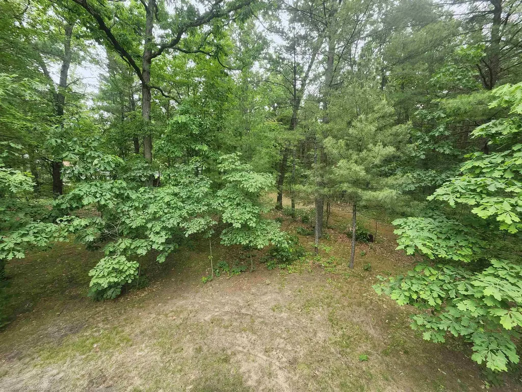 7348 Blue Ox Trail Plainfield Township MI 48761