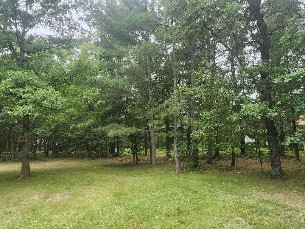7348 Blue Ox Trail Plainfield Township MI 48761