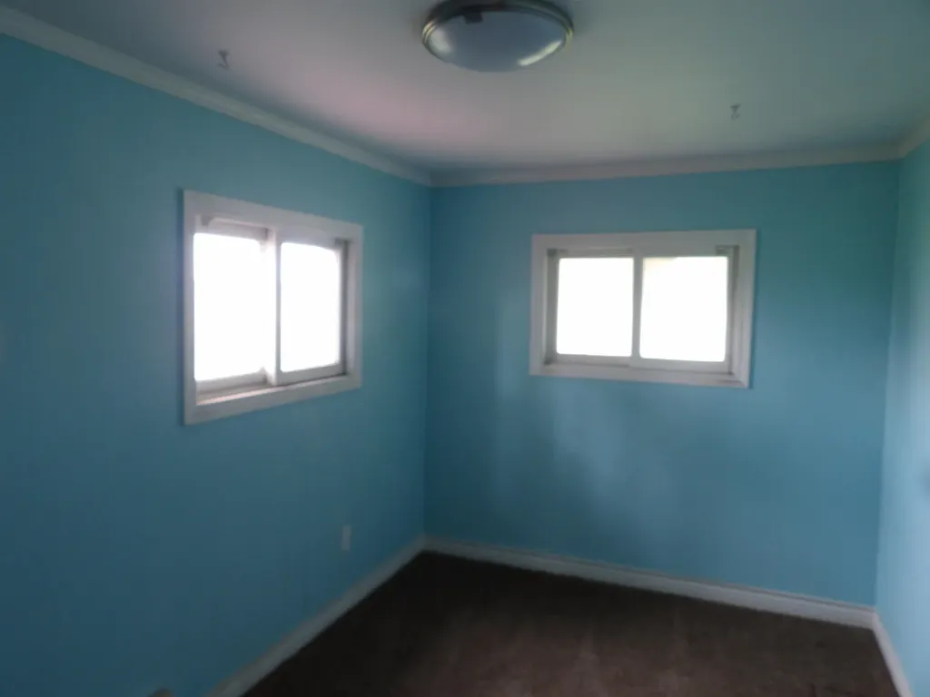 11500 N State Bethany Township MI 48880